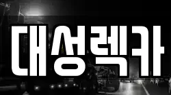 경북 영천시 망정동 렉카, 특수렉카, 차량탁송, 견인운송