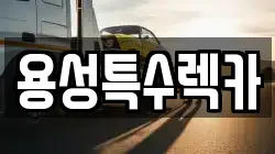 용성특수렉카