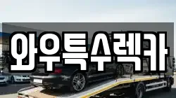 와우특수렉카