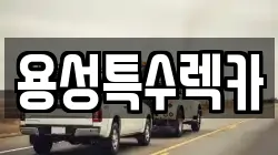 용성특수렉카