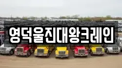 영덕울진대왕크레인
