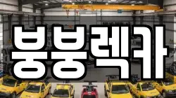 경북 의성군 렉카, 특수렉카, 차량탁송, 견인운송