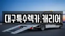 대구특수렉카.캐리어