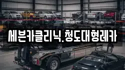 세븐카클리닉.청도대형레카