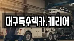 대구특수렉카.캐리어