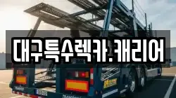 대구특수렉카.캐리어