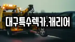 대구특수렉카.캐리어
