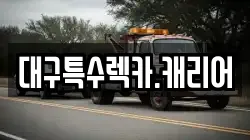대구특수렉카.캐리어