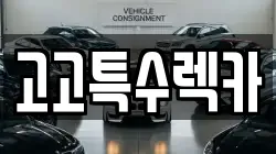 고고특수렉카