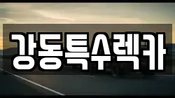 경북 포항시 남구 괴동동 렉카, 특수렉카, 차량탁송, 견인운송
