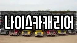 나이스카캐리어
