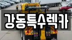 경북 포항시 남구 송도동 렉카, 특수렉카, 차량탁송, 견인운송