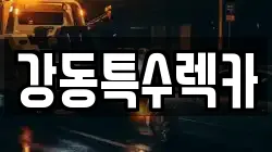 경북 포항시 남구 이동 렉카, 특수렉카, 차량탁송, 견인운송