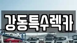 경북 포항시 남구 장흥동 렉카, 특수렉카, 차량탁송, 견인운송