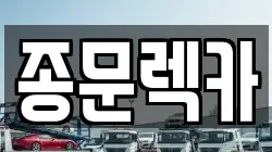 종문렉카