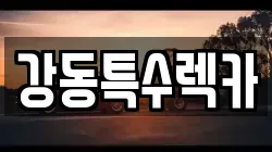 경북 포항시 북구 대흥동 렉카, 특수렉카, 차량탁송, 견인운송