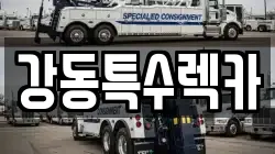 경북 포항시 북구 덕산동 렉카, 특수렉카, 차량탁송, 견인운송