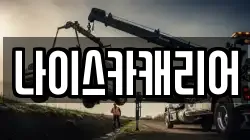 나이스카캐리어