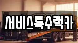 서비스특수랙카