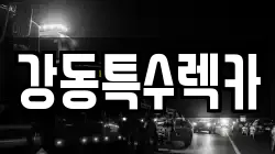 경북 포항시 북구 신광면 렉카, 특수렉카, 차량탁송, 견인운송