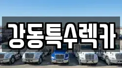 경북 포항시 북구 신흥동 렉카, 특수렉카, 차량탁송, 견인운송