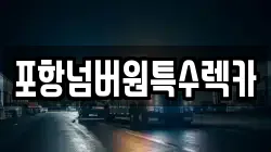 포항넘버원특수렉카