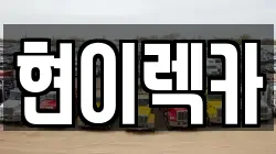 현이렉카