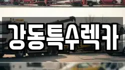 경북 포항시 북구 중앙동 렉카, 특수렉카, 차량탁송, 견인운송