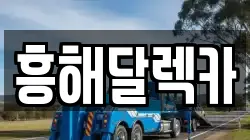 흥해달렉카