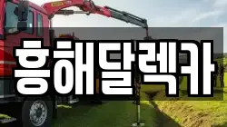 흥해달렉카