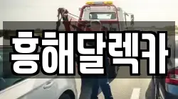 흥해달렉카