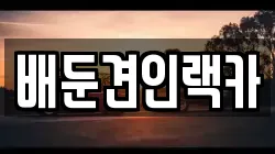 배둔견인랙카