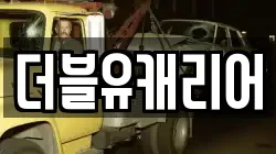 더블유캐리어