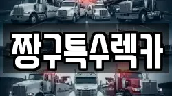 경상남도 김해시 내덕동 렉카, 특수렉카, 차량탁송, 견인운송