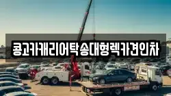 경상남도 김해시 대성동 렉카, 특수렉카, 차량탁송, 견인운송