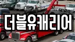 더블유캐리어