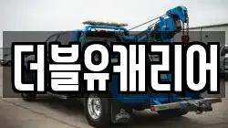 더블유캐리어