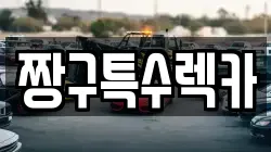 짱구특수렉카