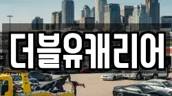 더블유캐리어