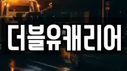 더블유캐리어