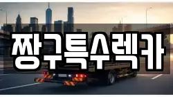 경상남도 김해시 장유동 렉카, 특수렉카, 차량탁송, 견인운송