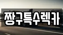 짱구특수렉카