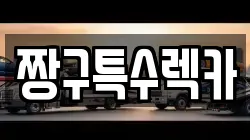 경상남도 김해시 렉카, 특수렉카, 차량탁송, 견인운송