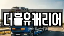 더블유캐리어