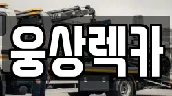 웅상렉카