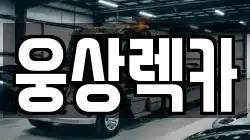 웅상렉카