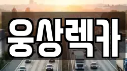 웅상렉카