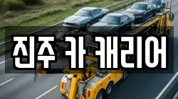 진주 카 캐리어