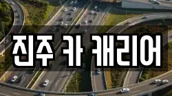 진주 카 캐리어