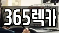 365렉카